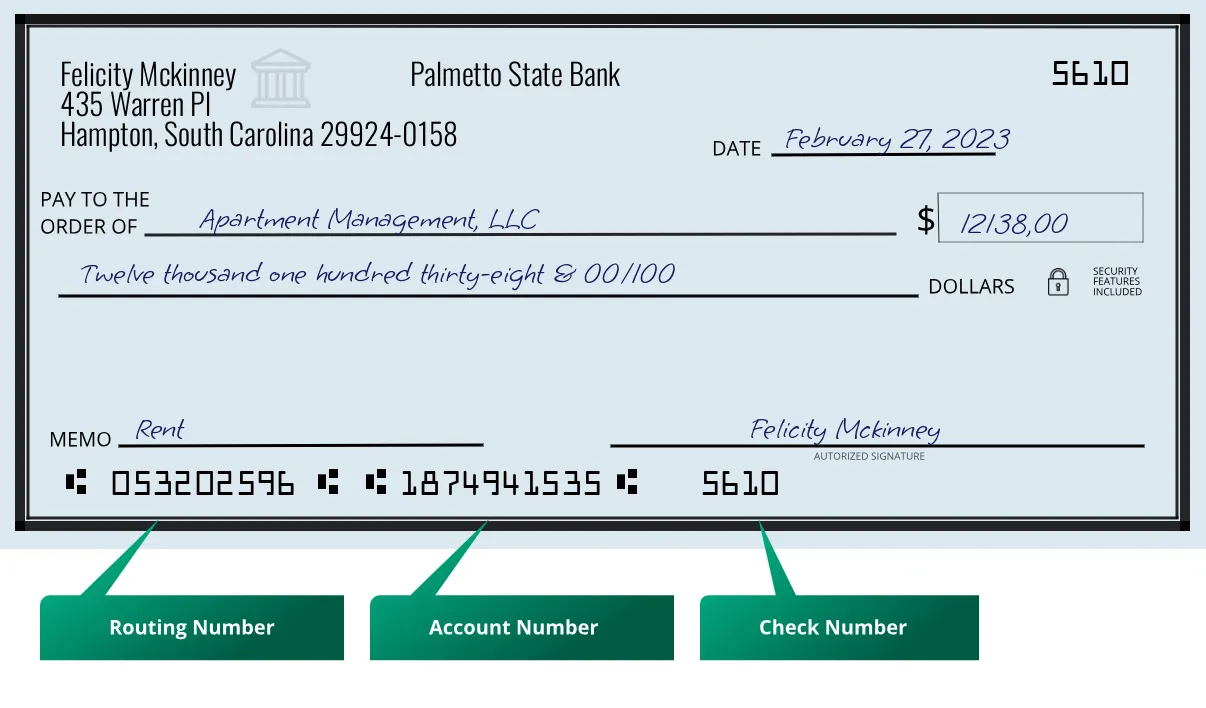 053202596 routing number Palmetto State Bank Hampton