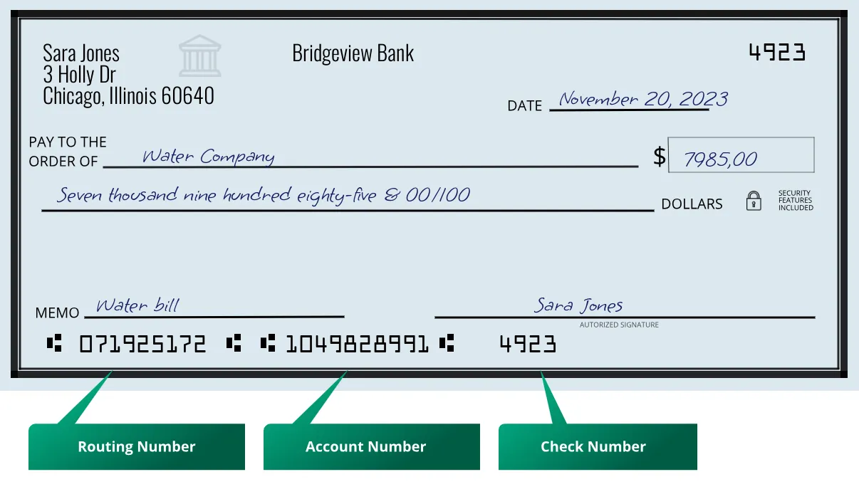 071925172 routing number Bridgeview Bank Chicago